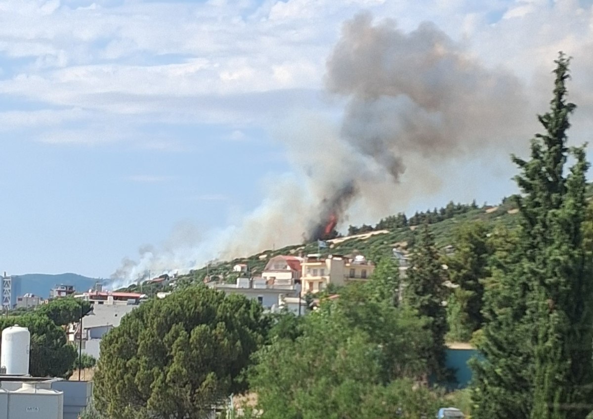 Φωτιά στη Θεσσαλονίκη πίσω από το νοσοκομείο Παπαγεωργίου