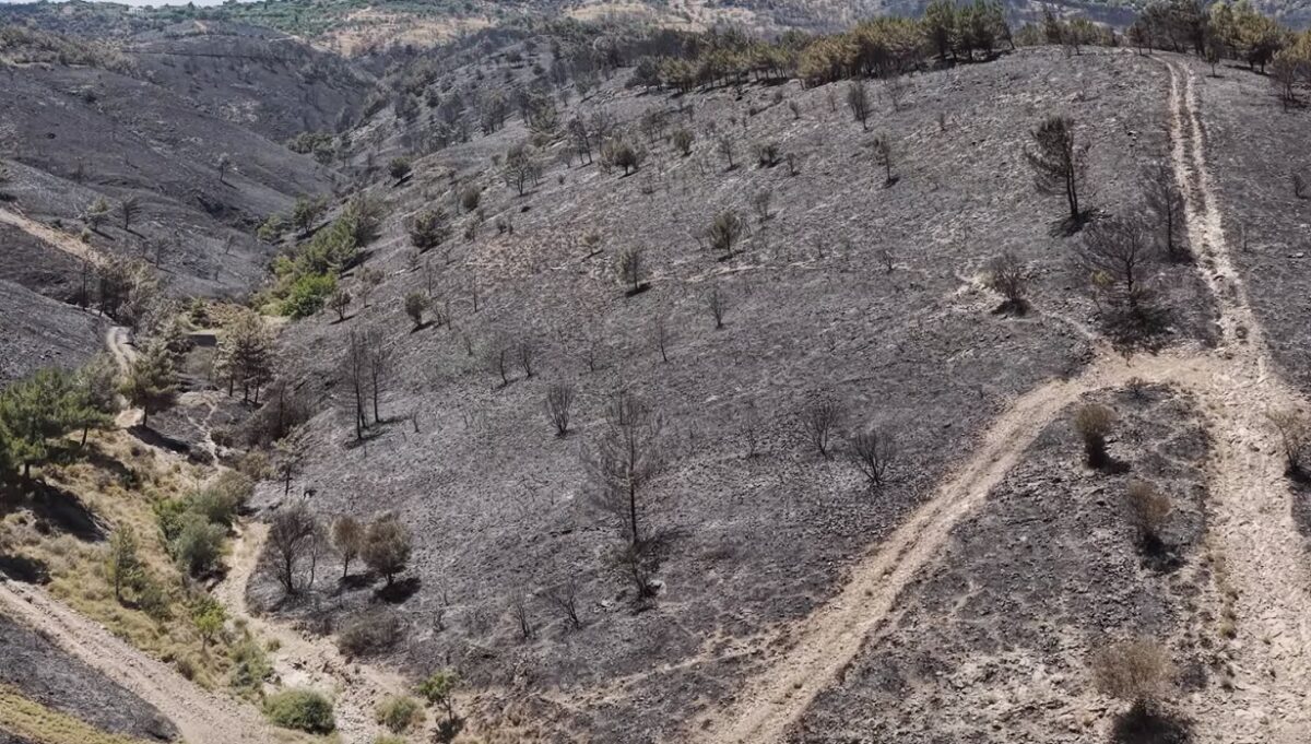 Φωτιά στη Χίο