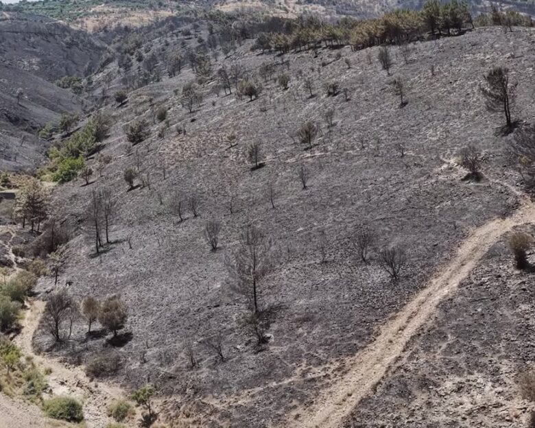 Φωτιά στη Χίο: Το μέγεθος της καταστροφής – Στάχτη έγιναν 62.000 στρέμματα πρασίνου