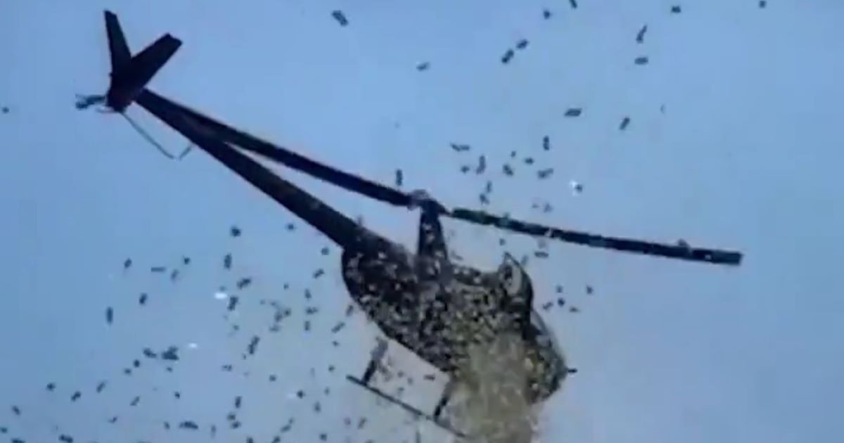 USA: “rained” dollars by helicopter in Detroit – Pedestrian Pan -Pullism