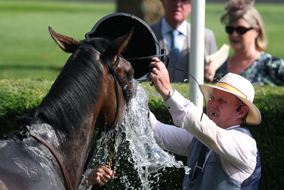 Άλογο δροσίζεται στις Ιπποδρομίες Ascot