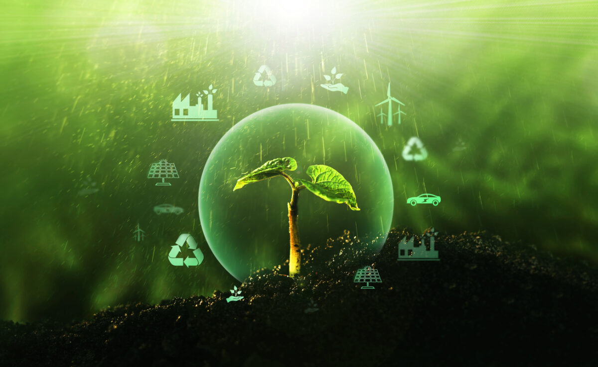 Sources for renewable, sustainable development