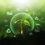 Sources for renewable, sustainable development