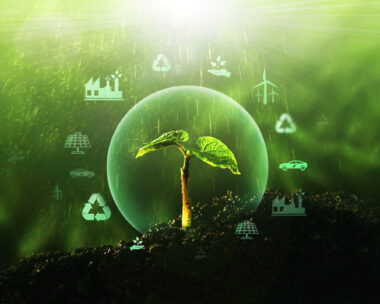 Sources for renewable, sustainable development