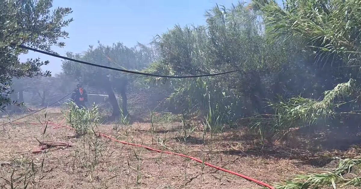 Fire in Ierapetra in Crete – sounded in 112: “Stay on alert”