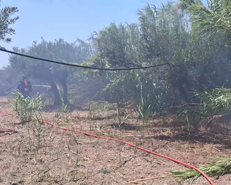 Φωτιά στην Ιεράπετρα στην Κρήτη – Ήχησε το 112: «Παραμείνετε σε ετοιμότητα»