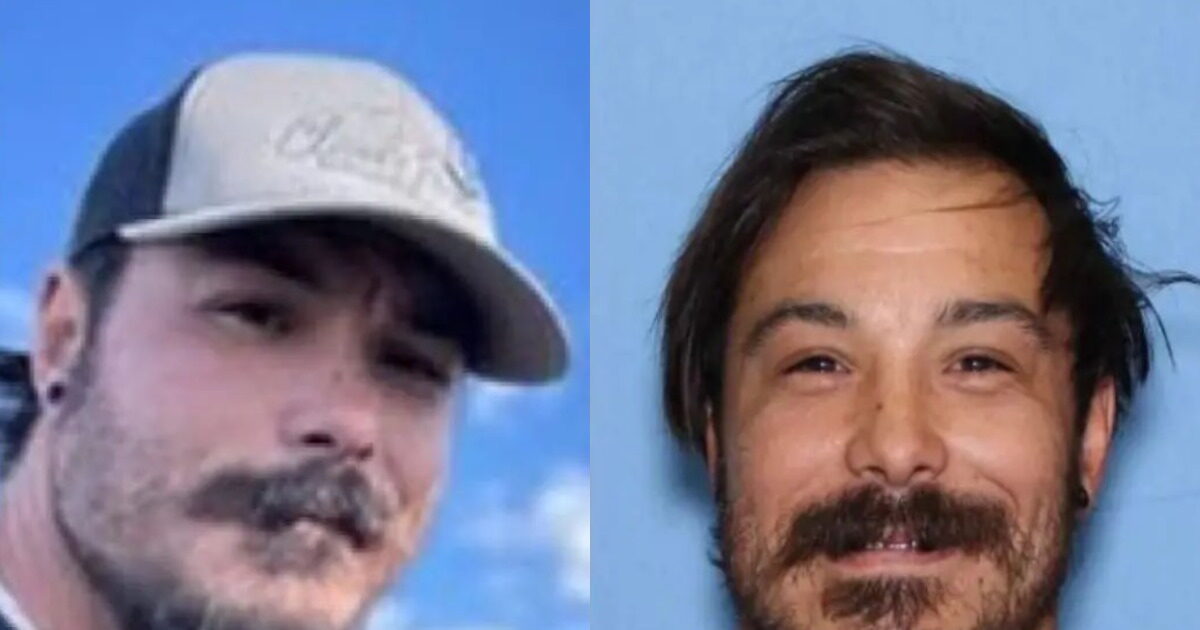 Thriller in Washington with dead three small camp sisters: their father suspected of abducting and killing them