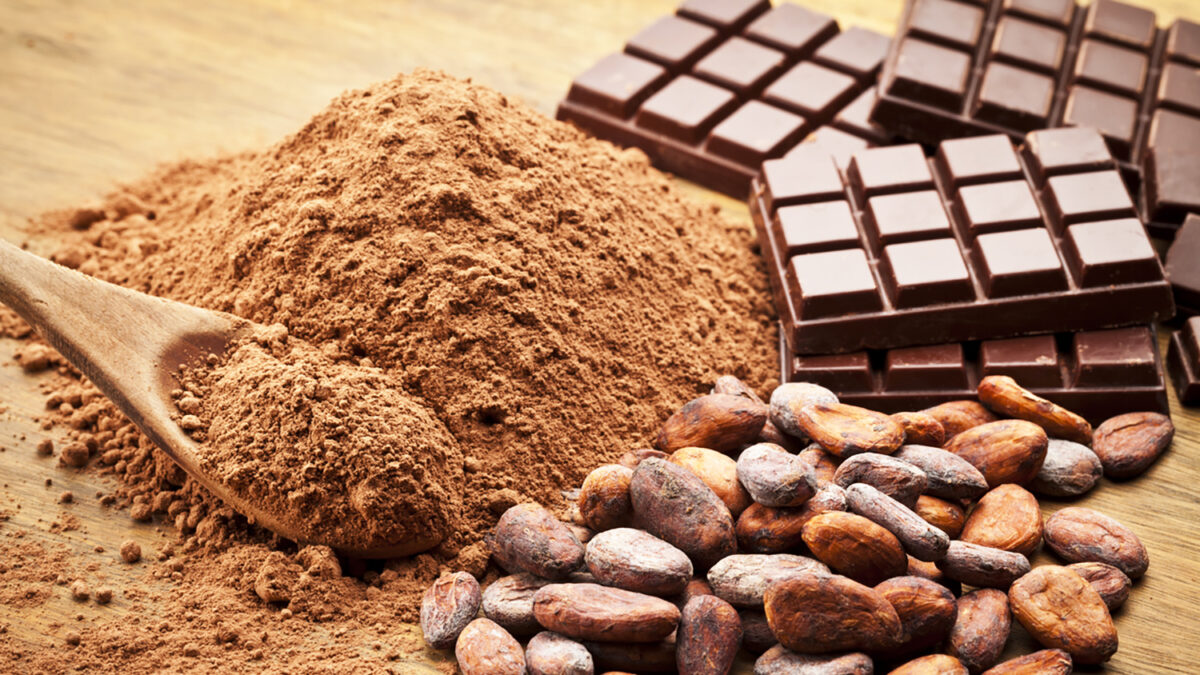 Cocoa Beans and Cocoa Powder with Chocolate Bars on Wood Table.