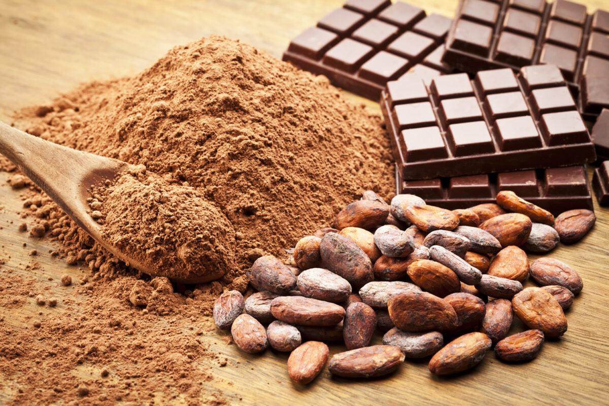 Cocoa Beans and Cocoa Powder with Chocolate Bars on Wood Table.