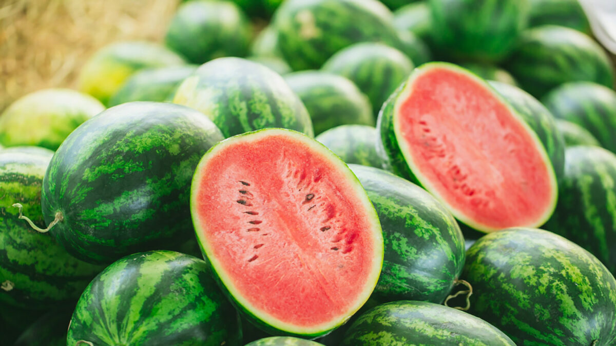 summer fruit. green watermelon