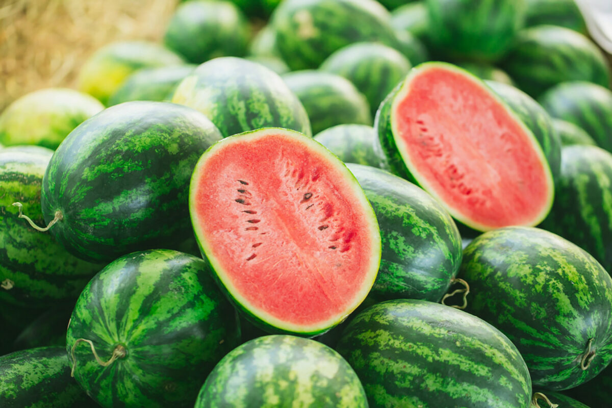 summer fruit. green watermelon