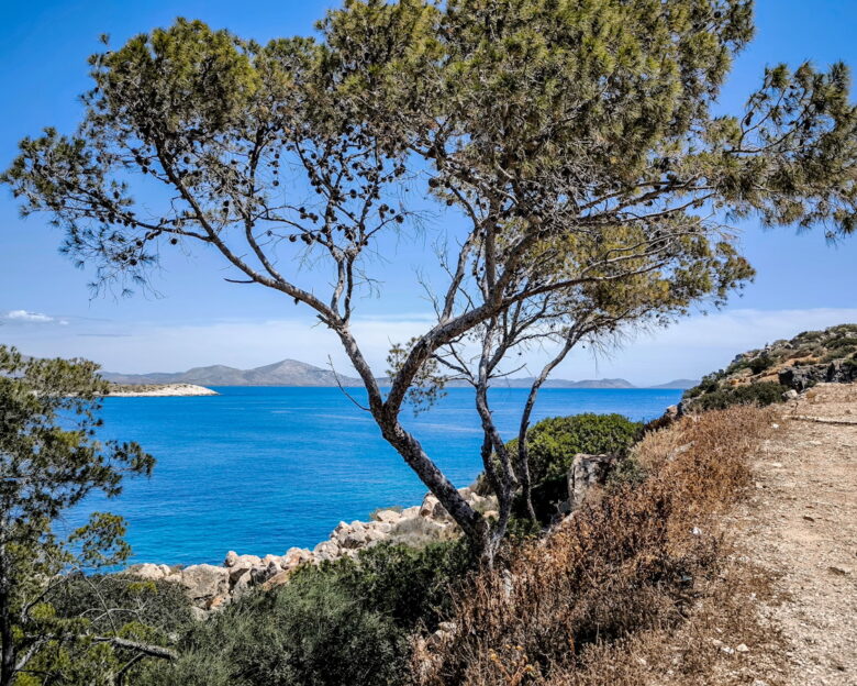 Καιρός: Καυτό το τριήμερο Αγίου Πνεύματος με τη θερμοκρασία να ξεπερνά τους 37 βαθμούς – «Κυριακή και Δευτέρα οι πιο ζεστές ημέρες»