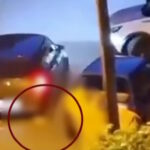 Ανδρας σκότωσε με το αυτοκίνητό του γατάκι στην Καλαμαριά