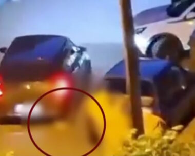Ανδρας σκότωσε με το αυτοκίνητό του γατάκι στην Καλαμαριά