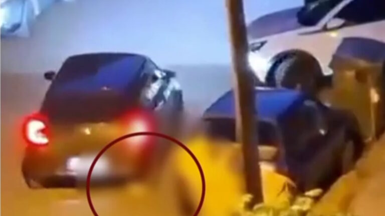 Ανδρας σκότωσε με το αυτοκίνητό του γατάκι στην Καλαμαριά