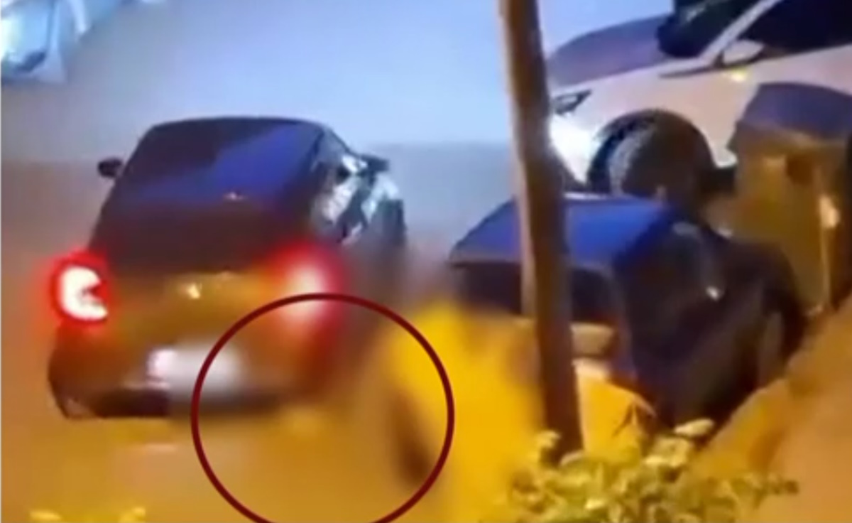 Ανδρας σκότωσε με το αυτοκίνητό του γατάκι στην Καλαμαριά