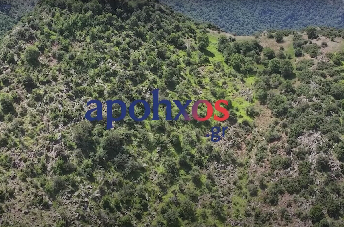Αροάνια Όρη στα Καλάβρυτα Αχαΐας