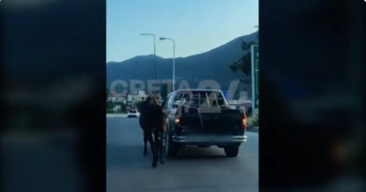 Heraklion: Guide tied a horse with rope and dragged it with farm – the animal was trampled on and was terrified