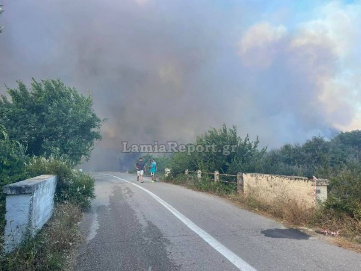 Η φωτιά στο Αχλάδι 