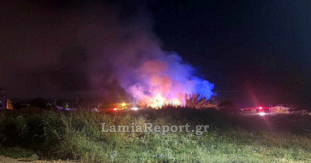 Fire in reeds arrived near houses in Lamia