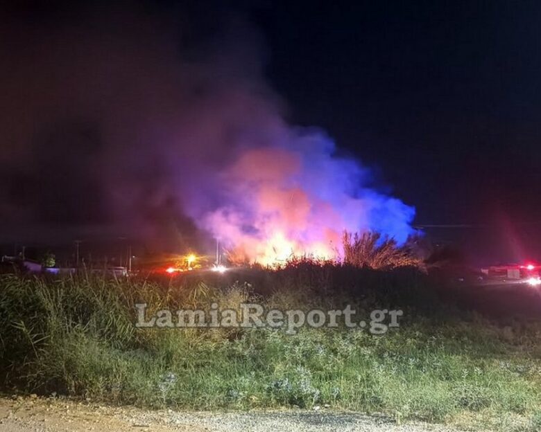 Φωτιά σε καλαμιές έφτασε κοντά σε σπίτια στη Λαμία