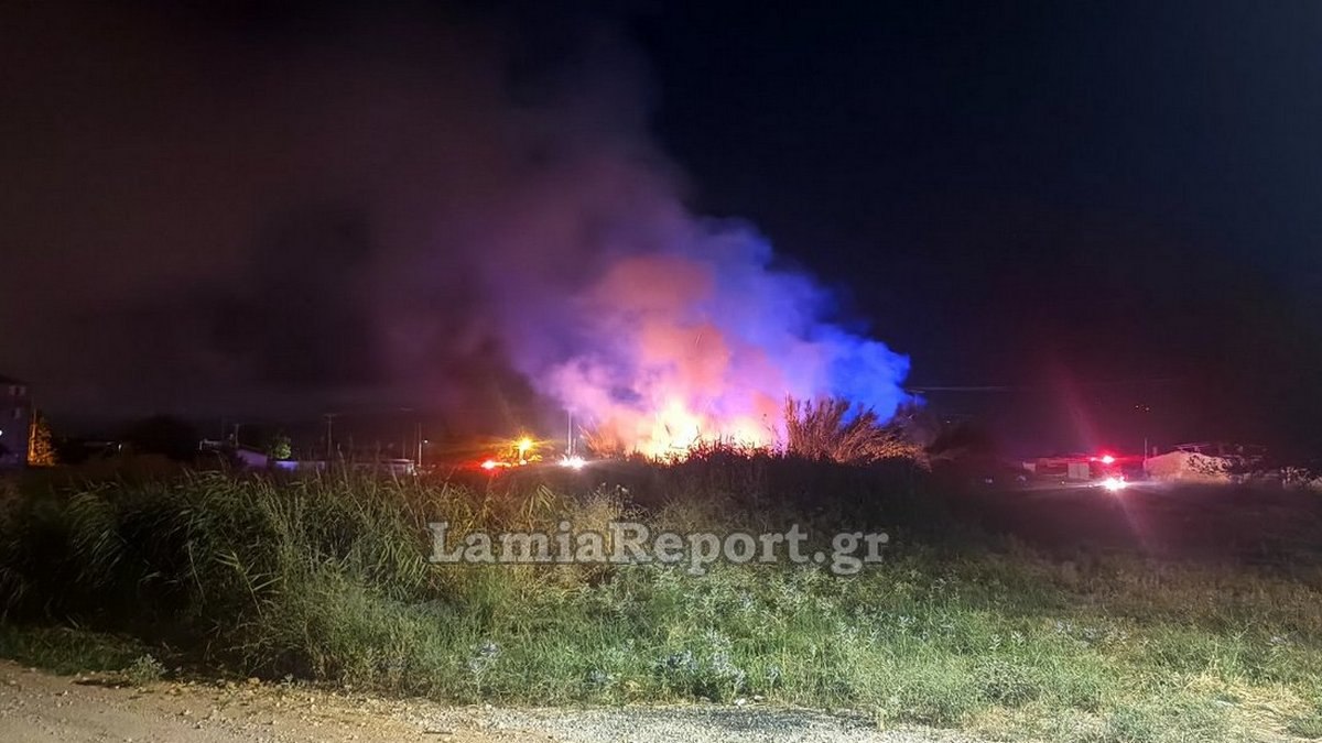 Φωτιά σε καλαμιές στη Λαμία