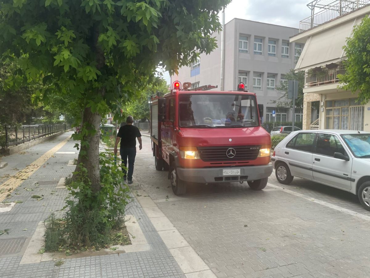 Ο δυνατός αέρας στη Λαρισα έριξε κλαδιά από δέντρα