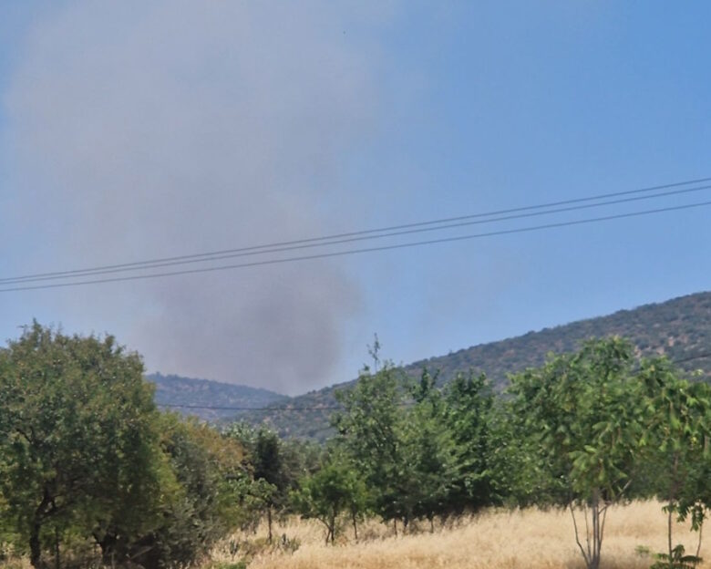 Φωτιά στο Άνω Σούλι: Καίγεται δάσος στην περιοχή – Ήχησε το 112