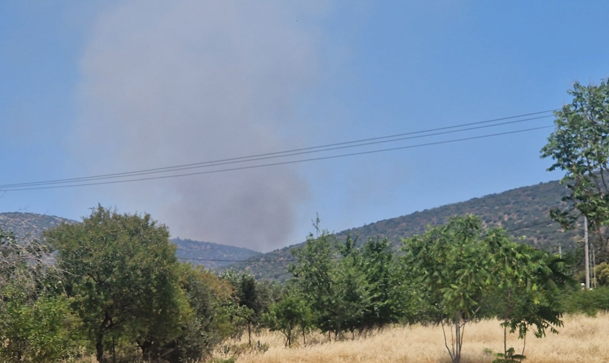 Φωτιά στον Μαραθώνα