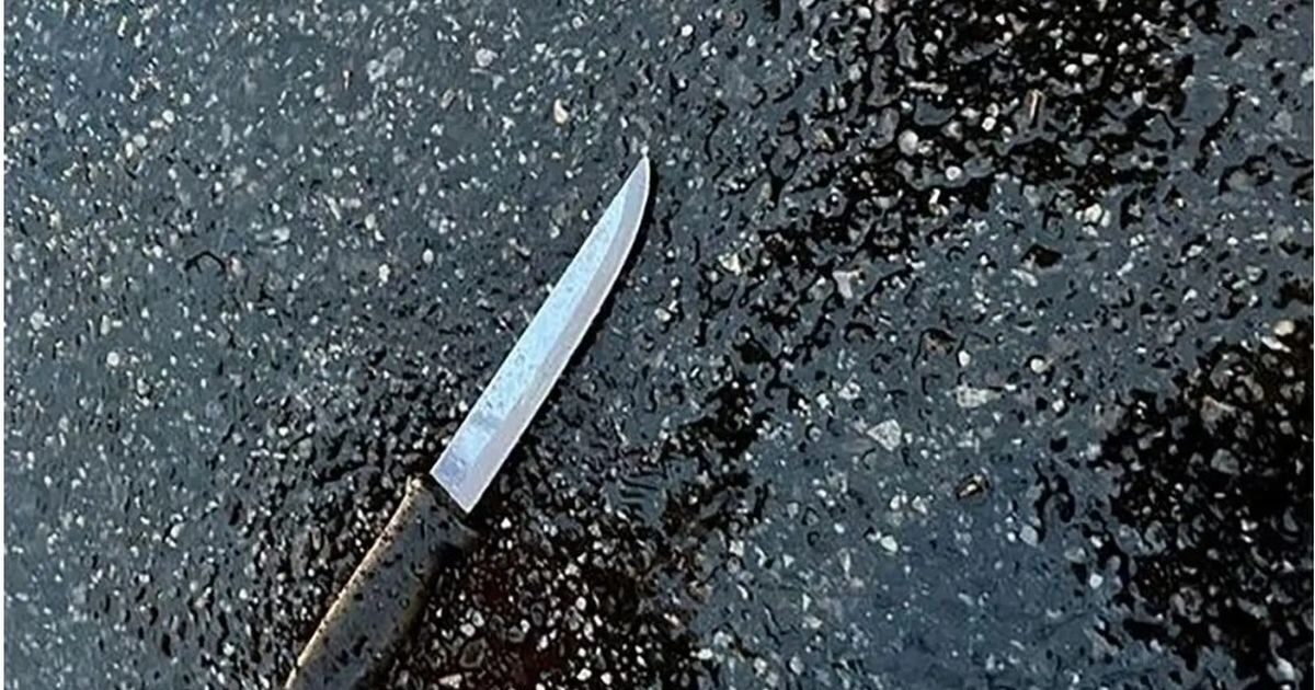 Mytilene: “He tired him, he got his whole face down,” says the 35 -year -old’s father who was stabbed at a festival.