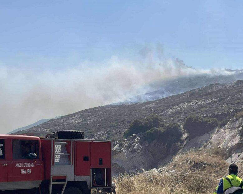 Φωτιά στον Κινίδαρο Νάξου: Λαμπάδιασε ενοικιαζόμενο όχημα και εξαπλώθηκε στο δάσος – Σηκώθηκαν 3 εναέρια μέσα