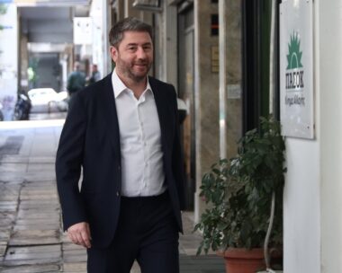 Νίκος Ανδρουλάκης