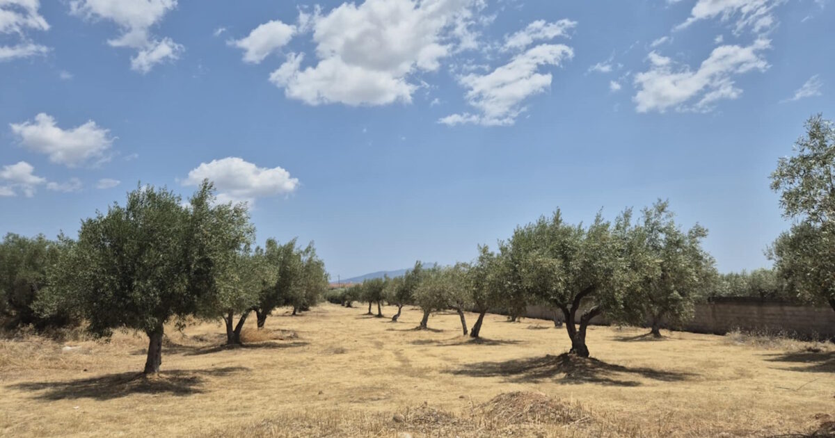 Στις 702.000 οι δηλώσεις καθαρισμών των οικοπέδων – 329 δήμοι συνδέθηκαν στην ψηφιακή πλατφόρμα