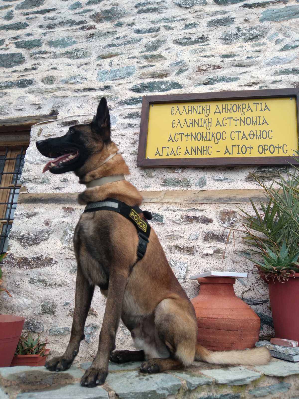 Όσκαρ 