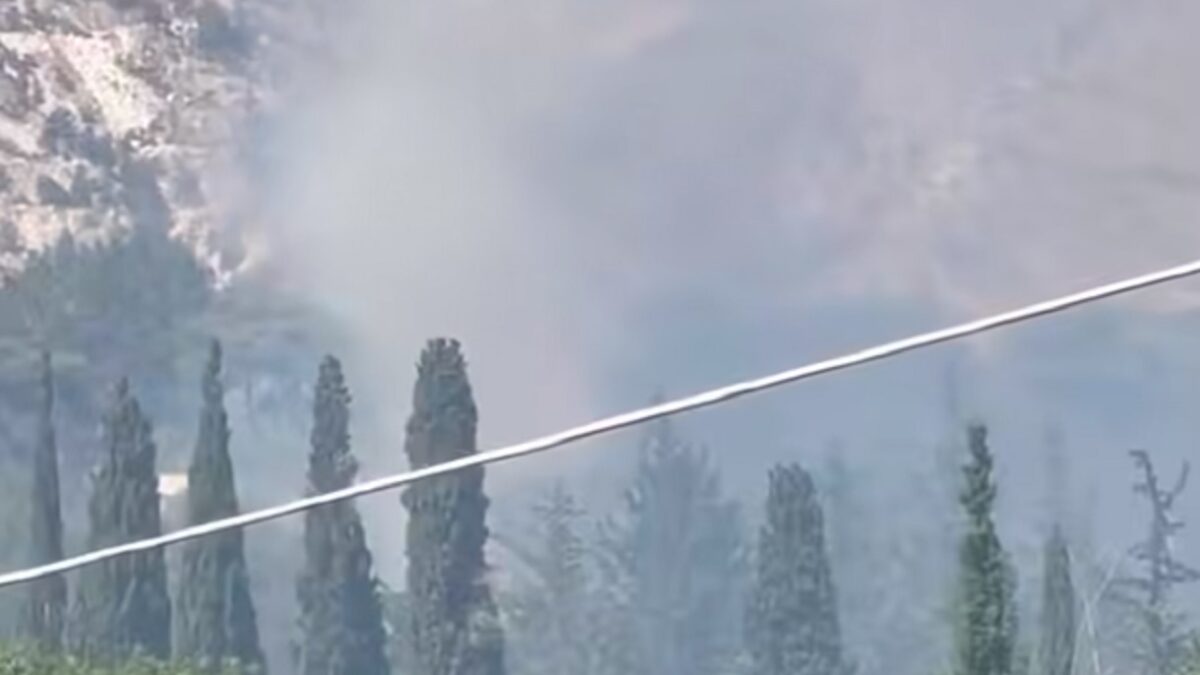 Φωτιά στην Παλαιά Πεντέλη