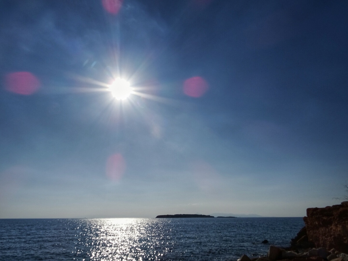 Βούλα