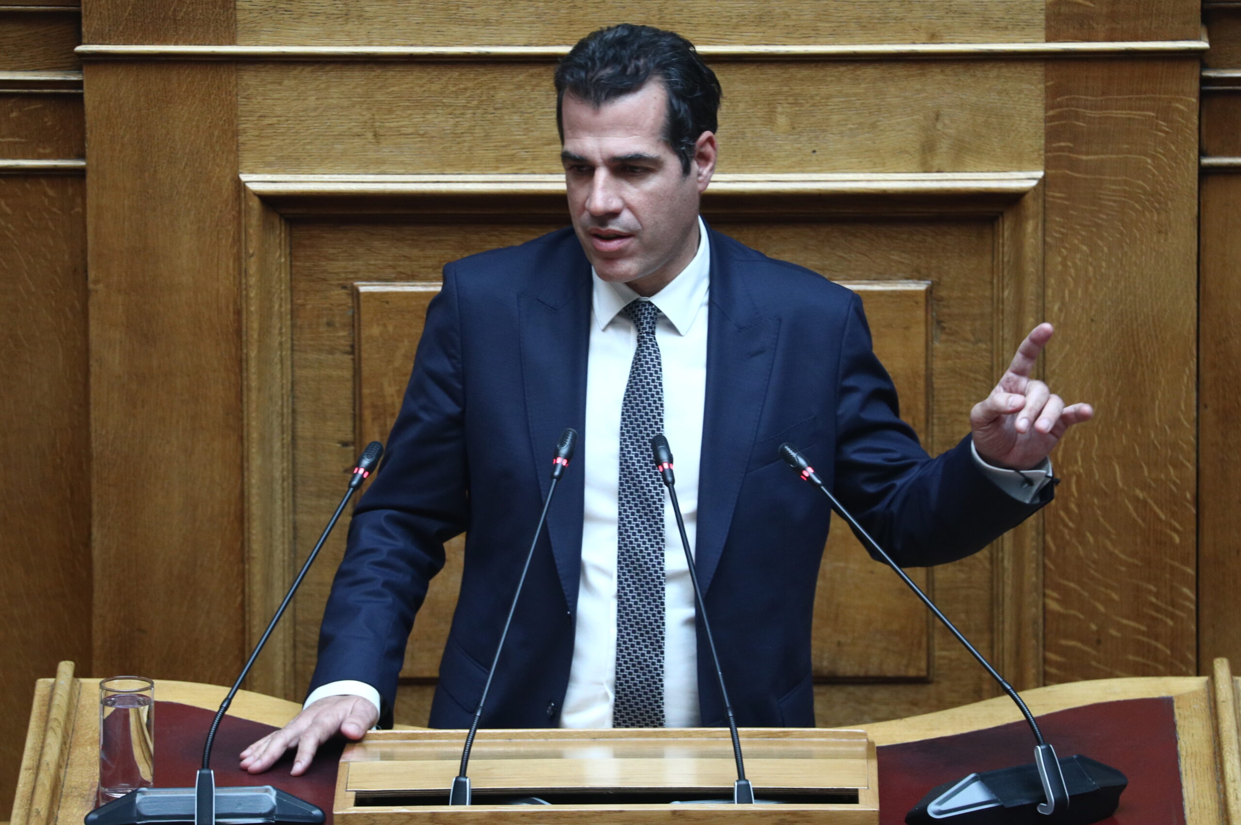 Ο Θάνος Πλεύρης
