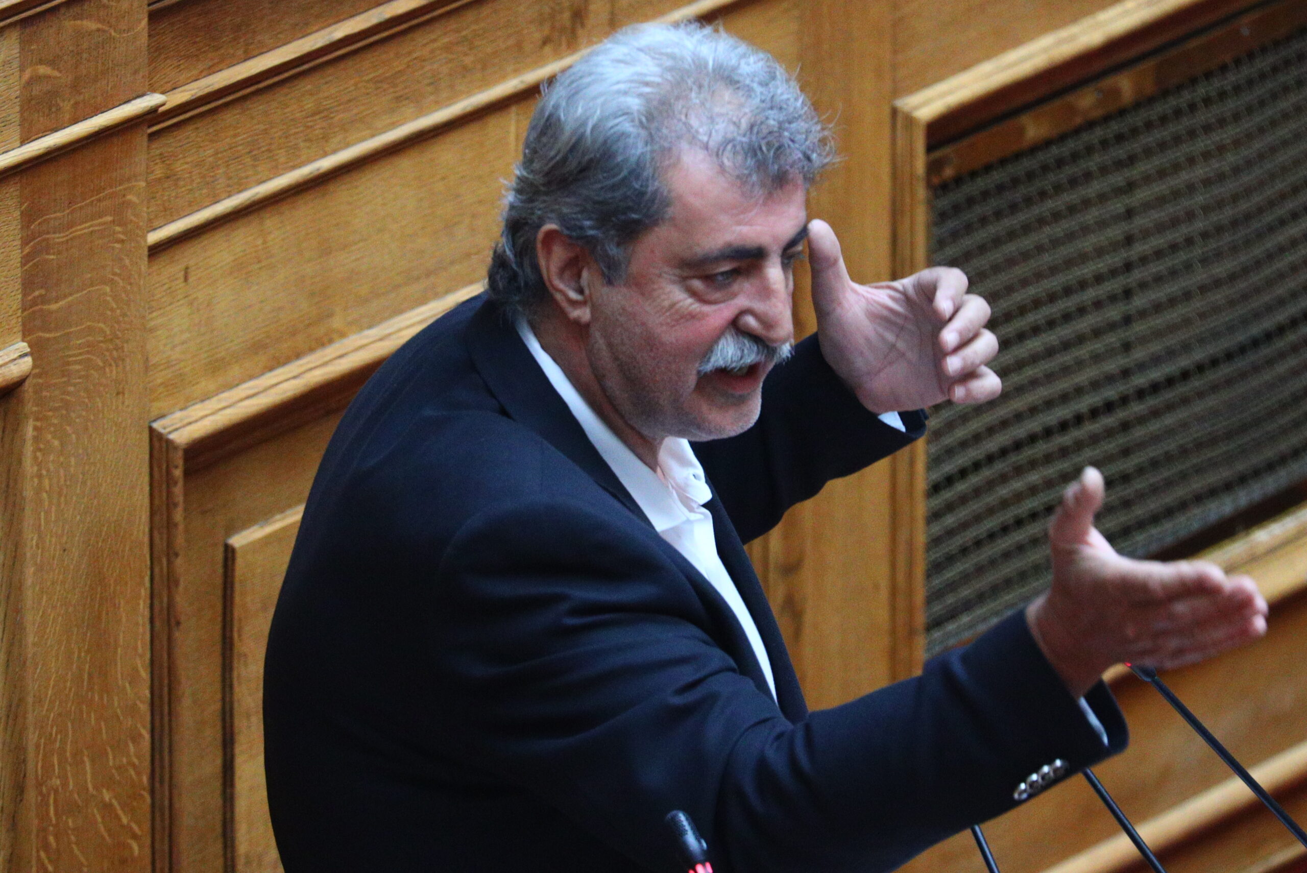 Ο Παύλος Πολάκης