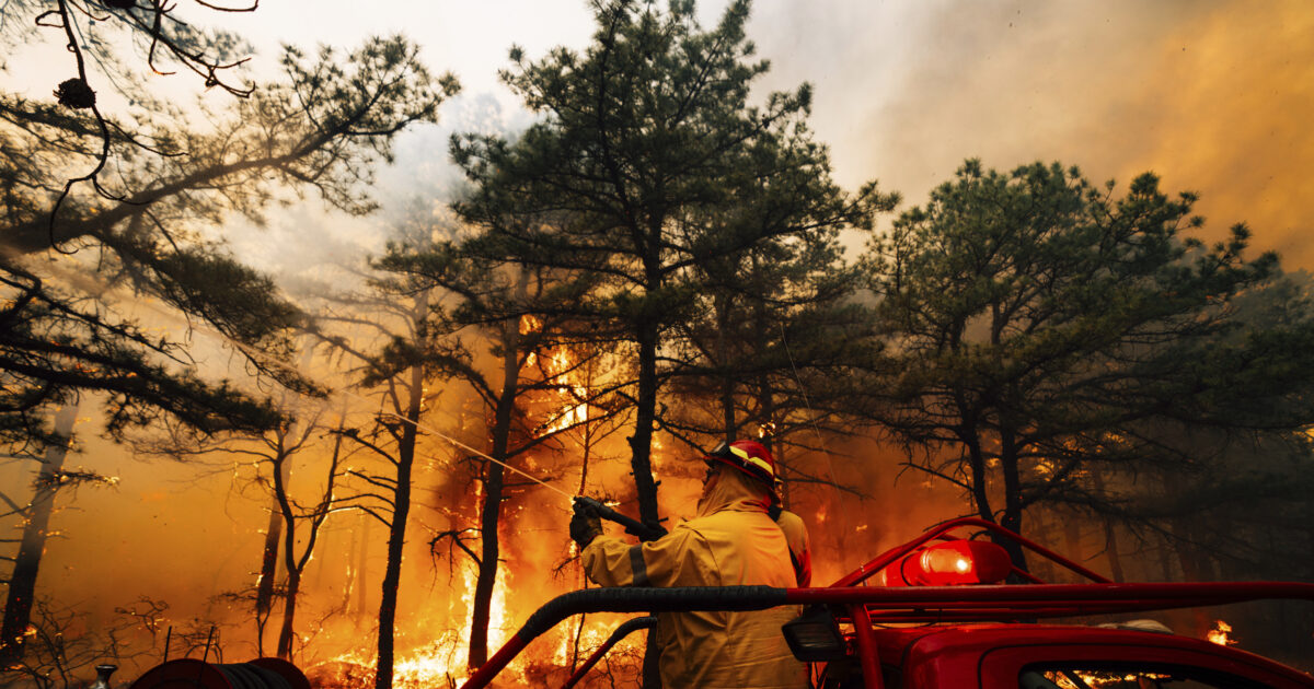 USA: Dead two firefighters from a sniper ambush while they were fired at the state of Eidaho