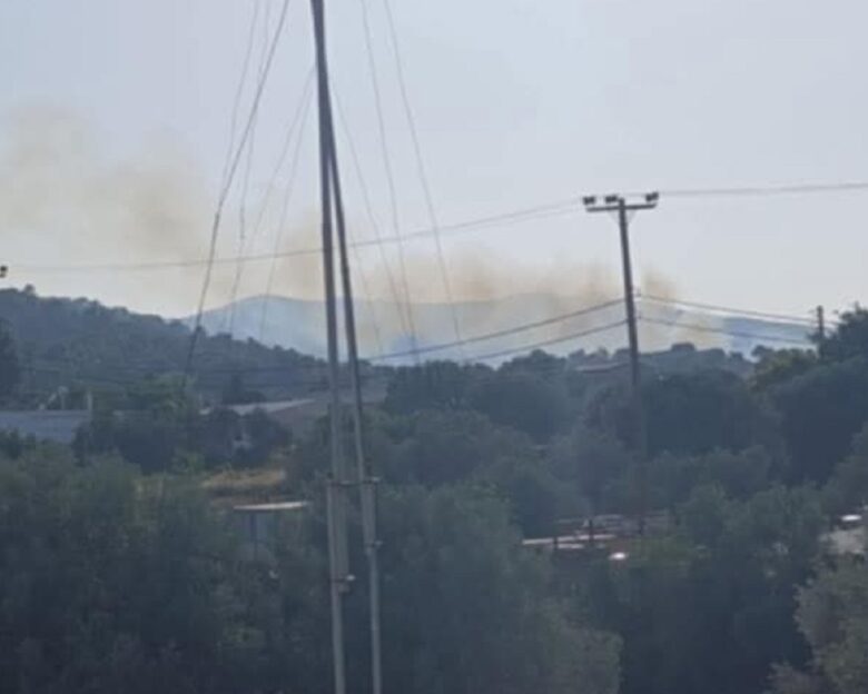 Φωτιά στην Παιανία κοντά σε σπίτια – Αστραπιαία επέμβαση της Πυροσβεστικής την έθεσε γρήγορα υπό έλεγχο