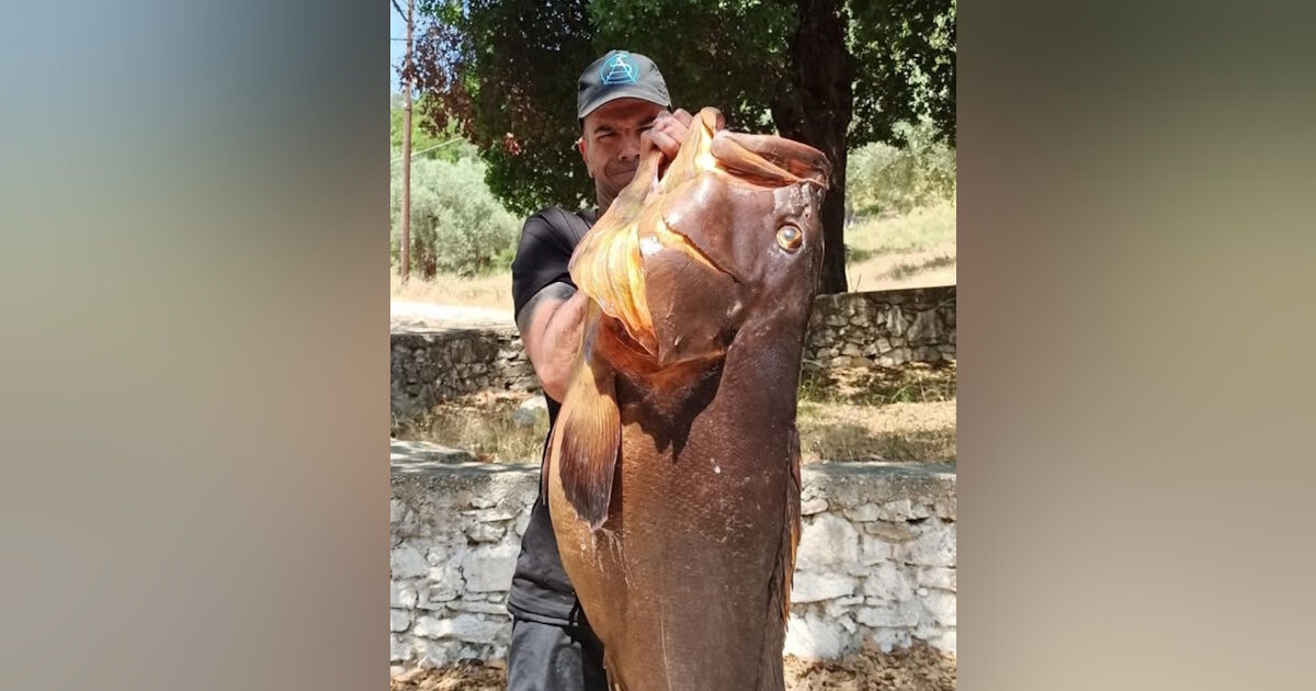 Ψαροντουφεκάς στον Βόλο πήγε για ψάρεμα και γύρισε με ροφό 27 κιλών