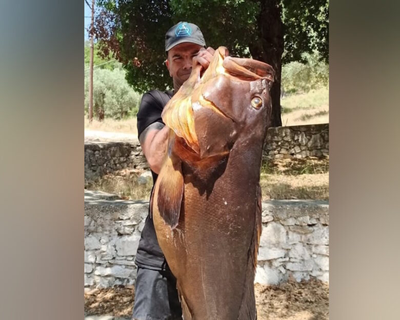Ψαροντουφεκάς στον Βόλο πήγε για ψάρεμα και γύρισε με ροφό 27 κιλών