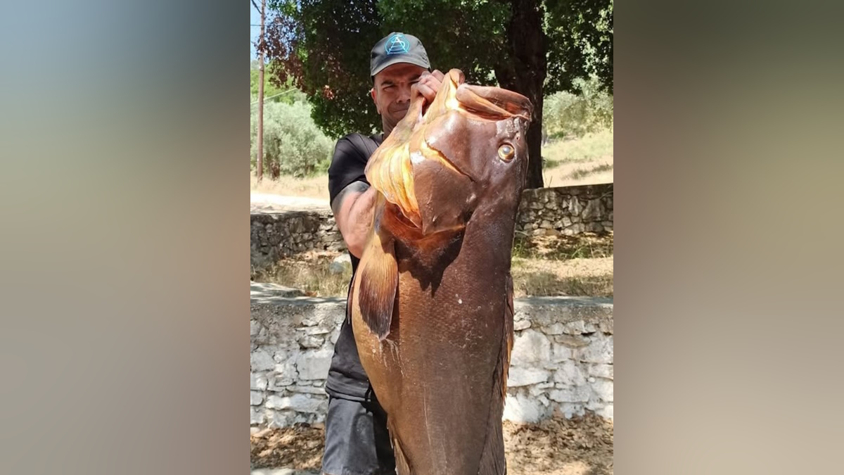 Από το προφίλ του Κώστα Δαφερέρα με τον ροφό