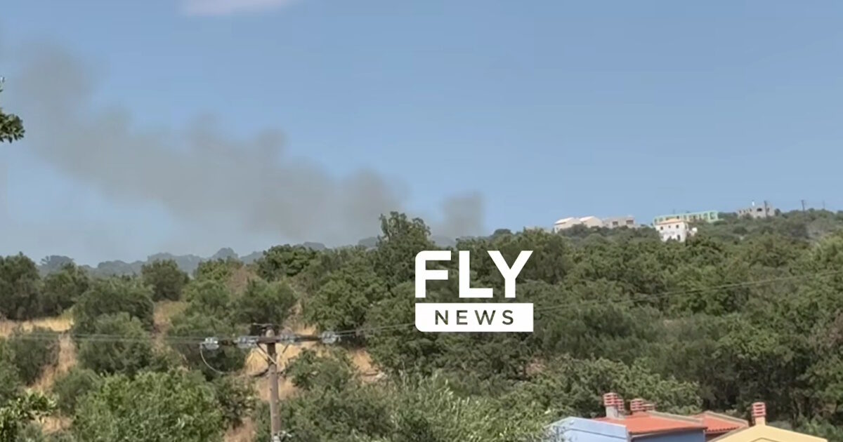 Φωτιά στη Λακωνία στο χωριό Σκουτάρι