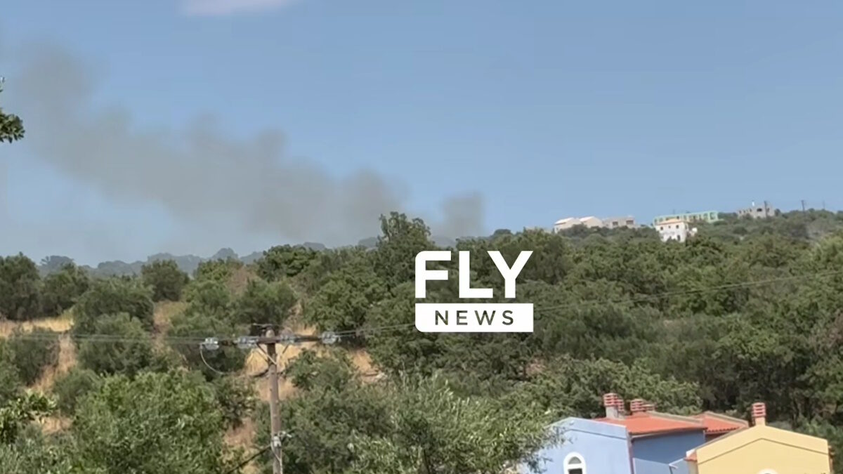 Φωτιά στη Λακωνία στο χωριό Σκουτάρι