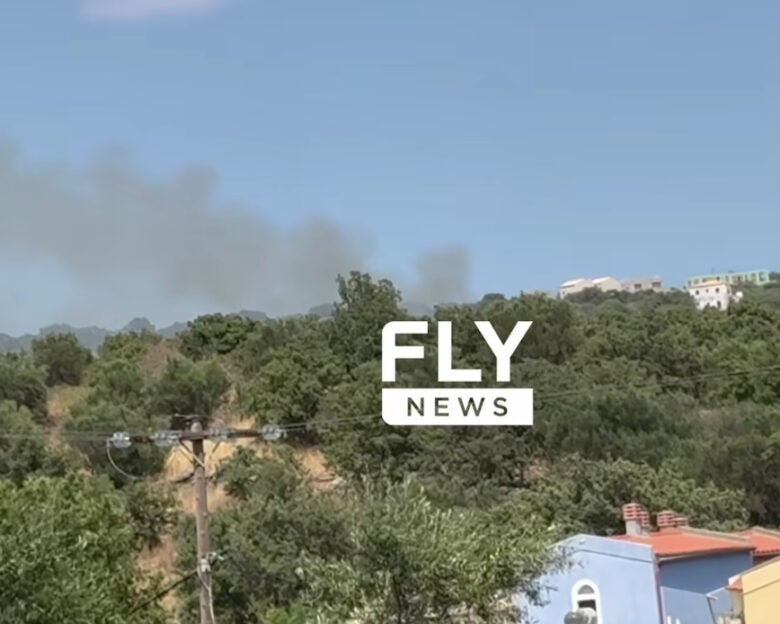 Φωτιά στη Λακωνία στο χωριό Σκουτάρι