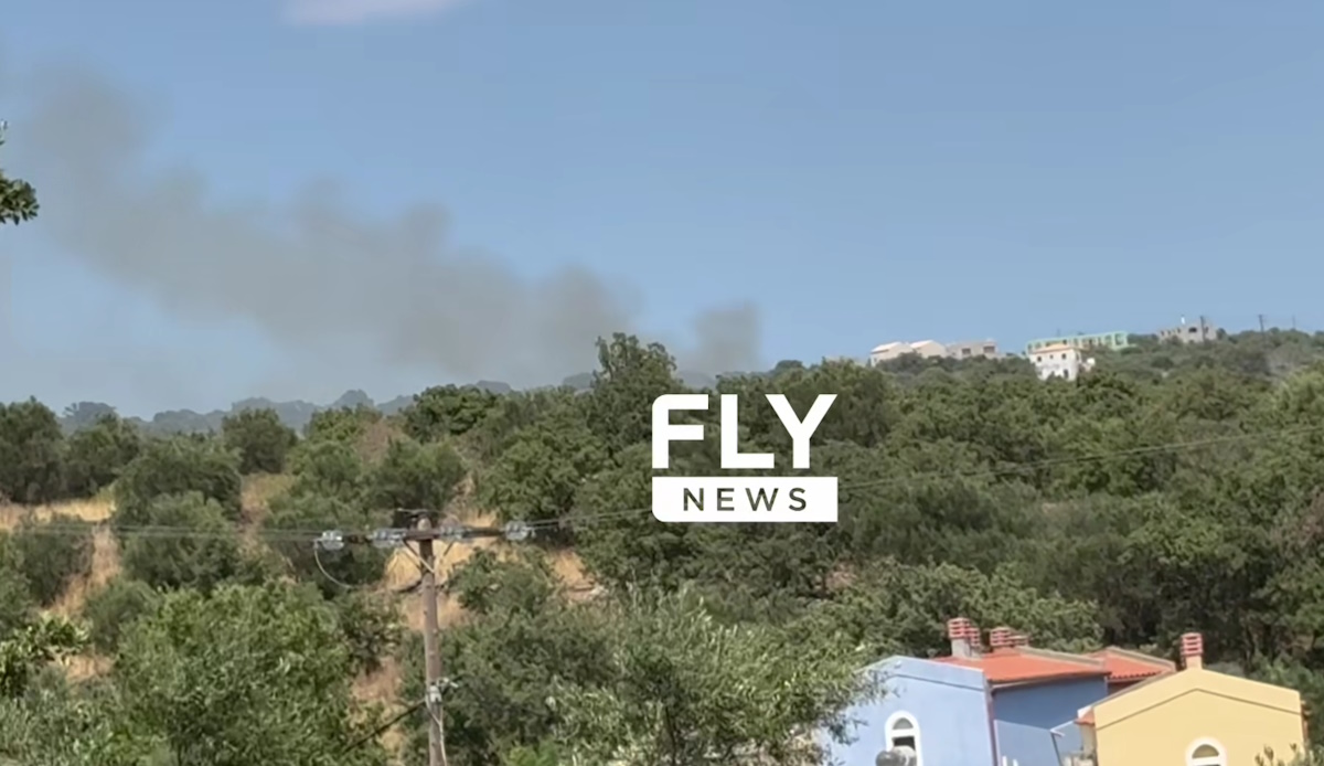 Φωτιά στη Λακωνία στο χωριό Σκουτάρι