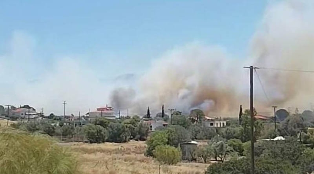 Φωτιά στο Θυμάρι της Παλαιάς Φώκαιας