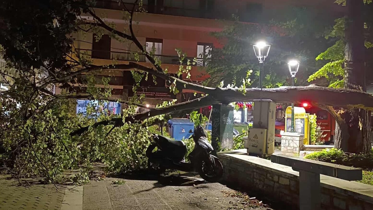 Πτώση δέντρων από την κακοκαιρία στον Βόλο