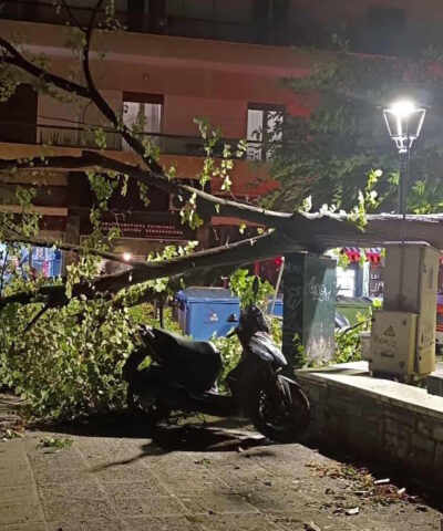 Πτώση δέντρων από την κακοκαιρία στον Βόλο